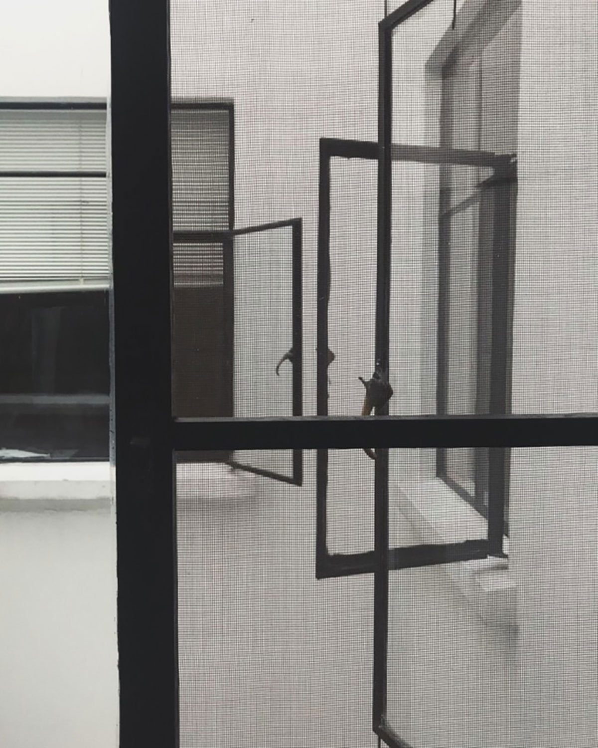 Mosquito net frame