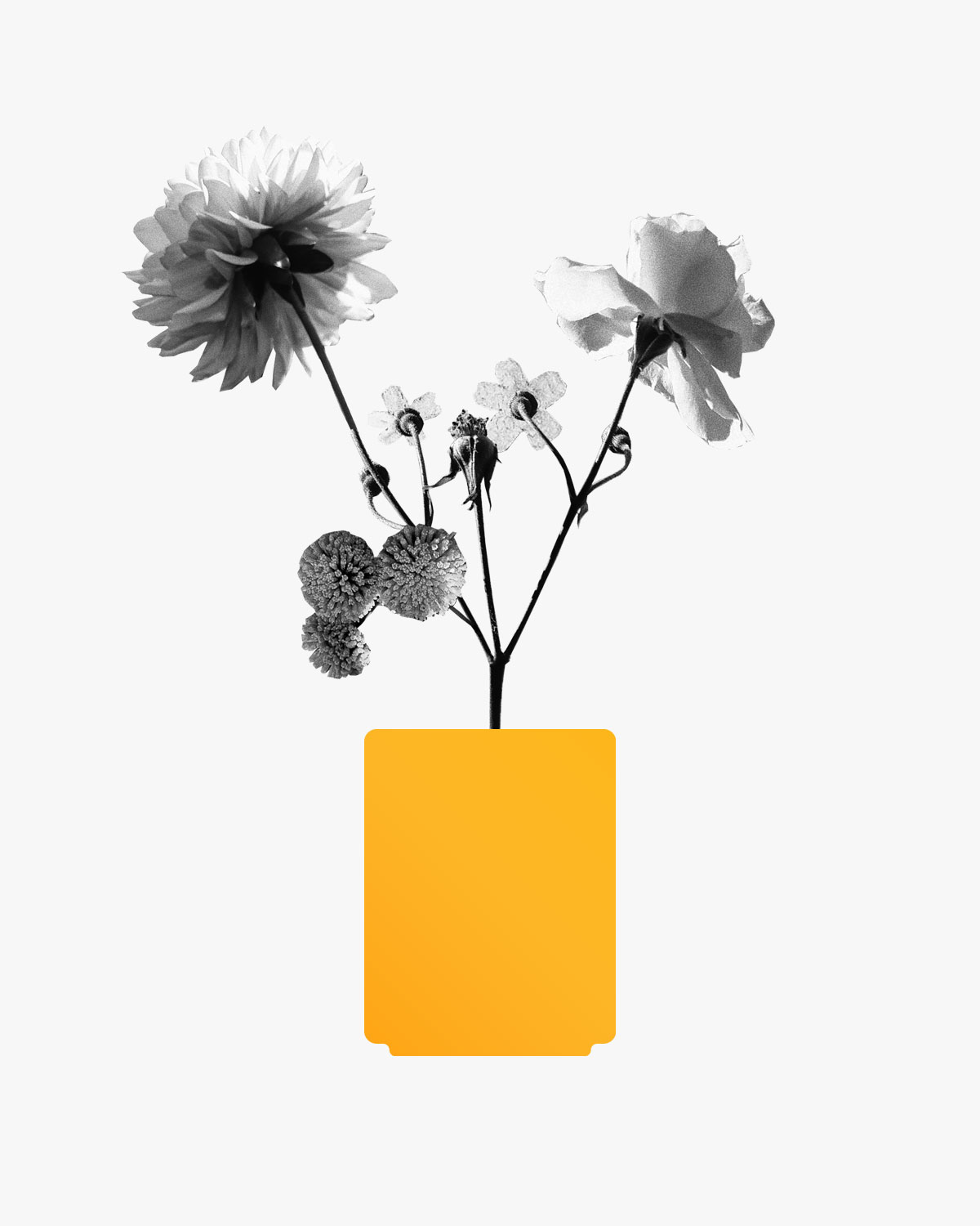 ME flower vases