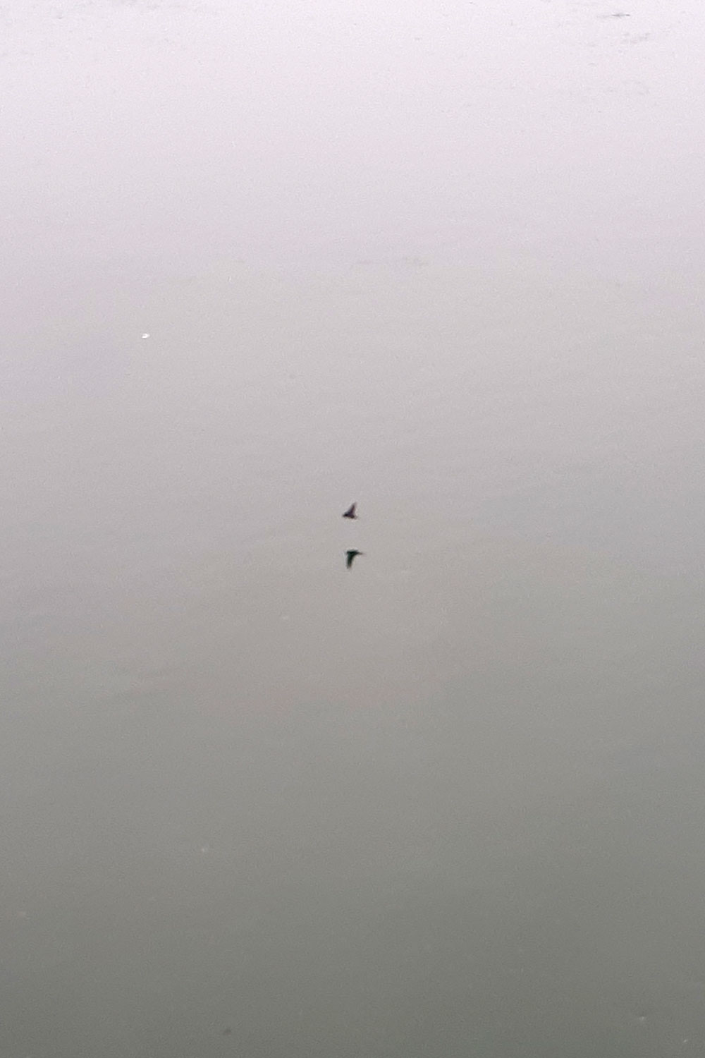 Archive, selected photos