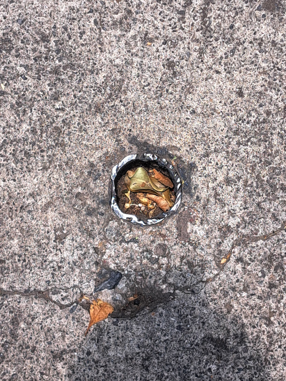 Circle things; peach, lamp, pole, hook