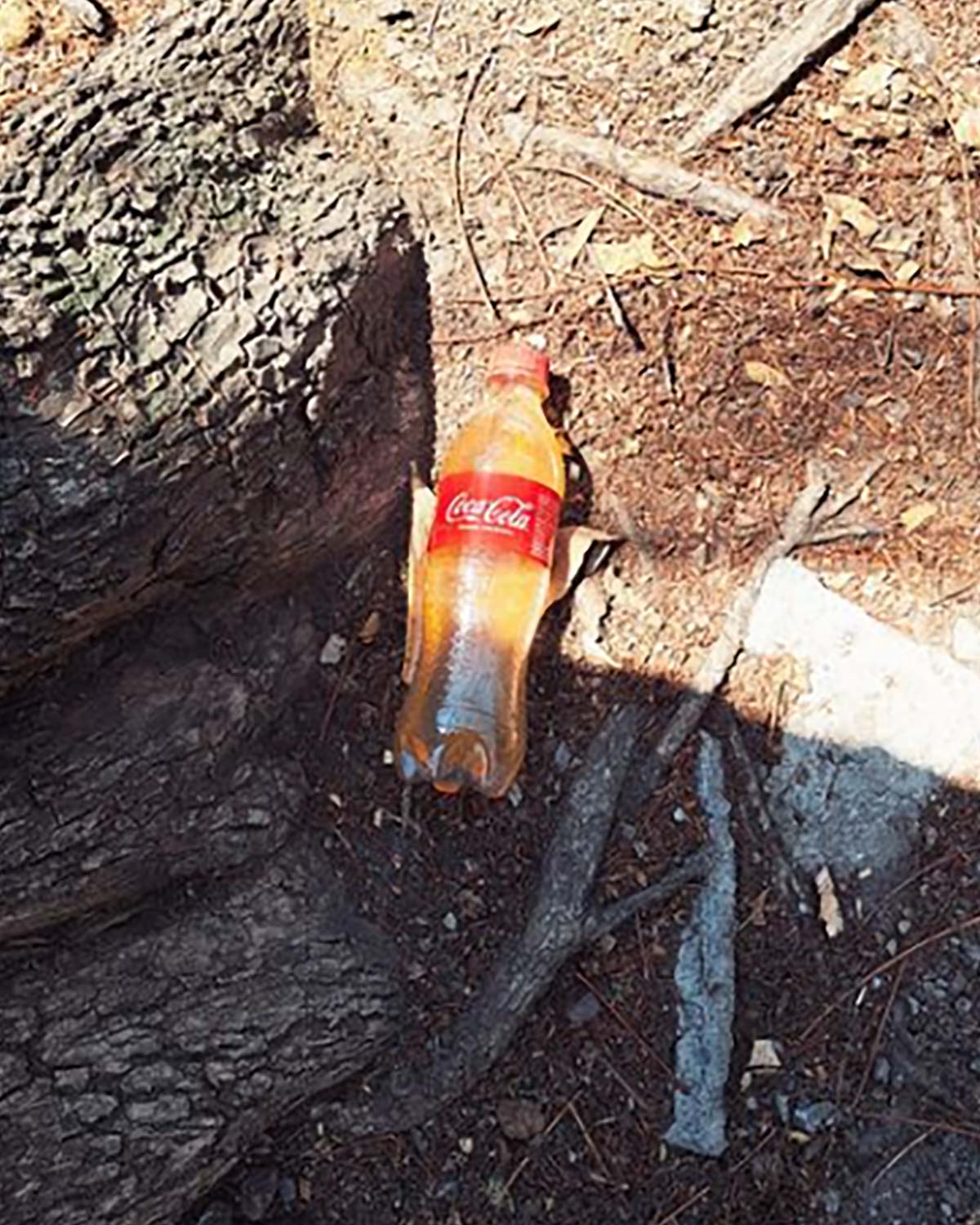 Pee bottles (Ananas)