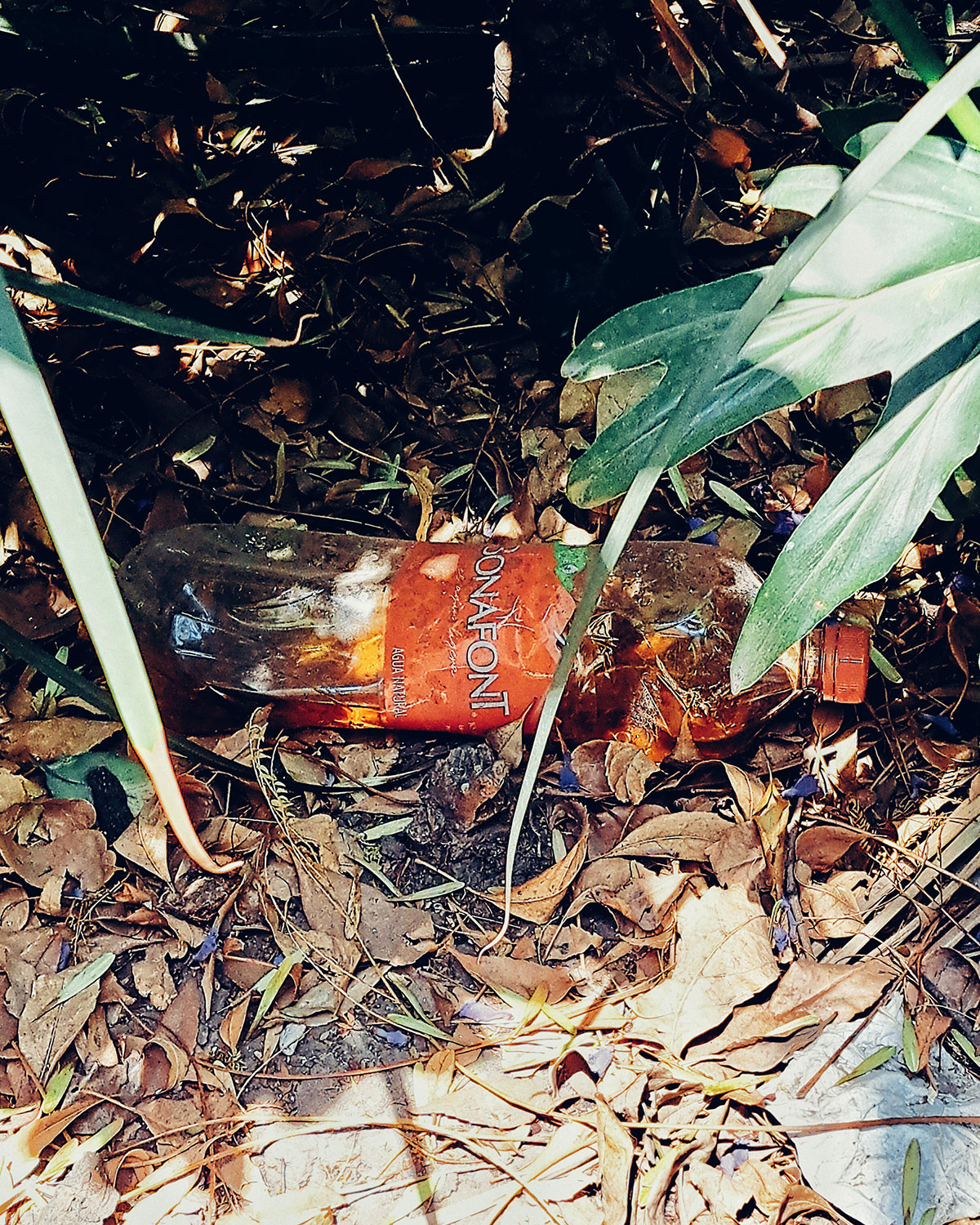 Pee bottles (Ananas)