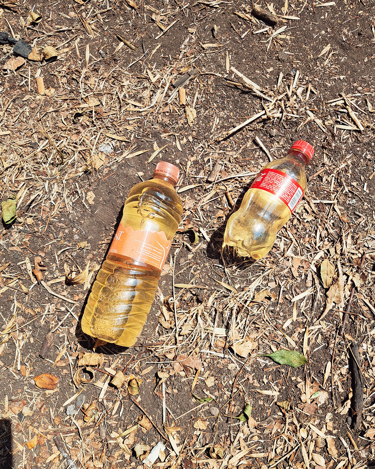 Pee bottles (Ananas)