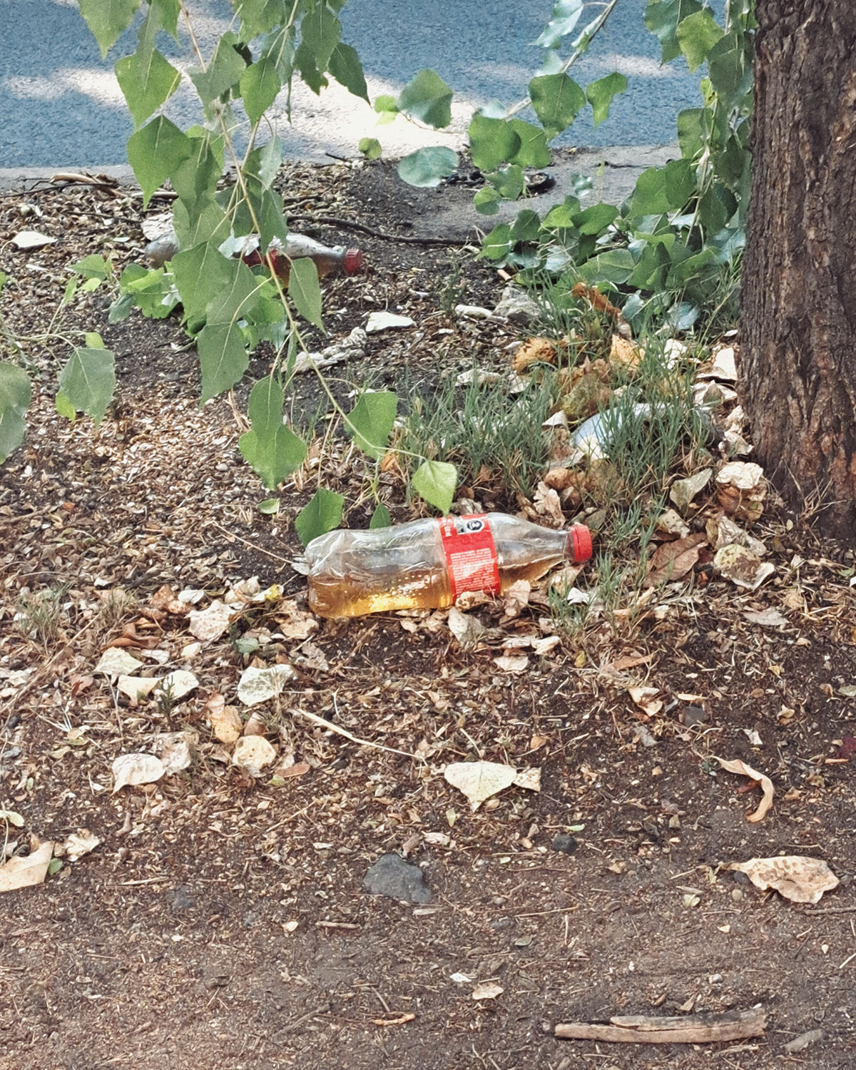 Pee bottles (Ananas)