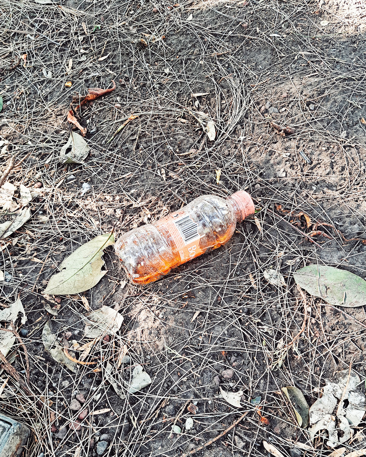 Pee bottles (Ananas)