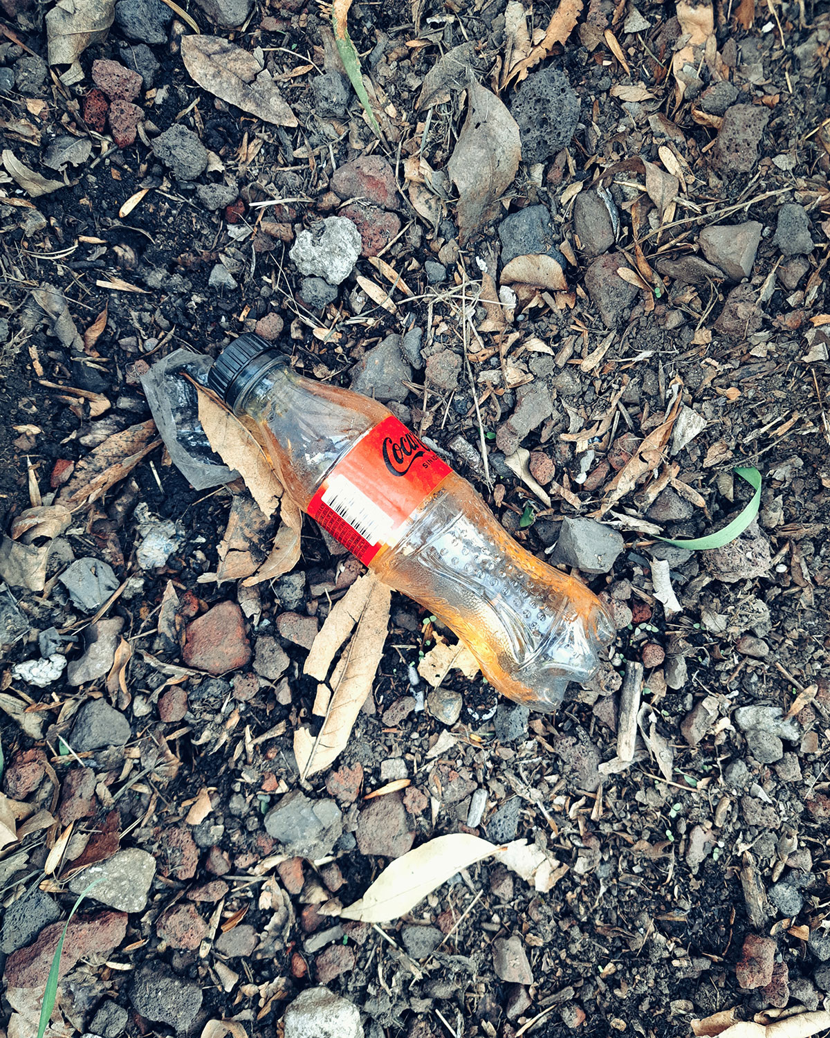 Pee bottles (Ananas)