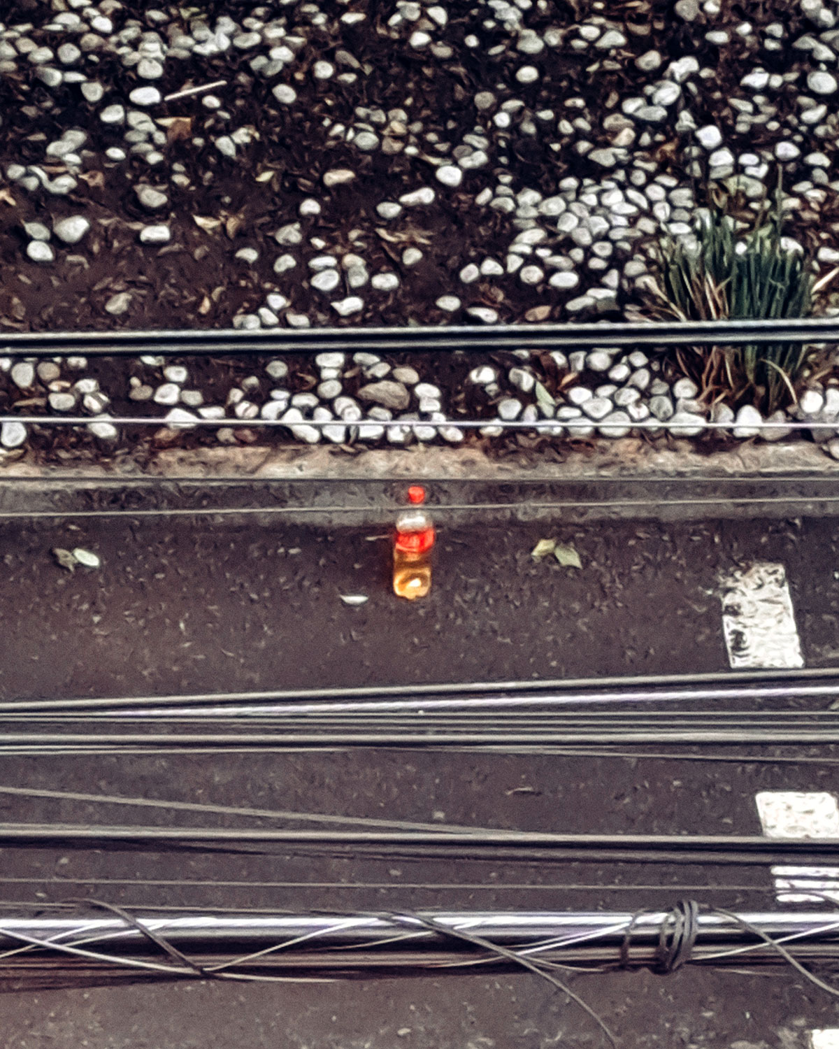 Pee bottles (Ananas)