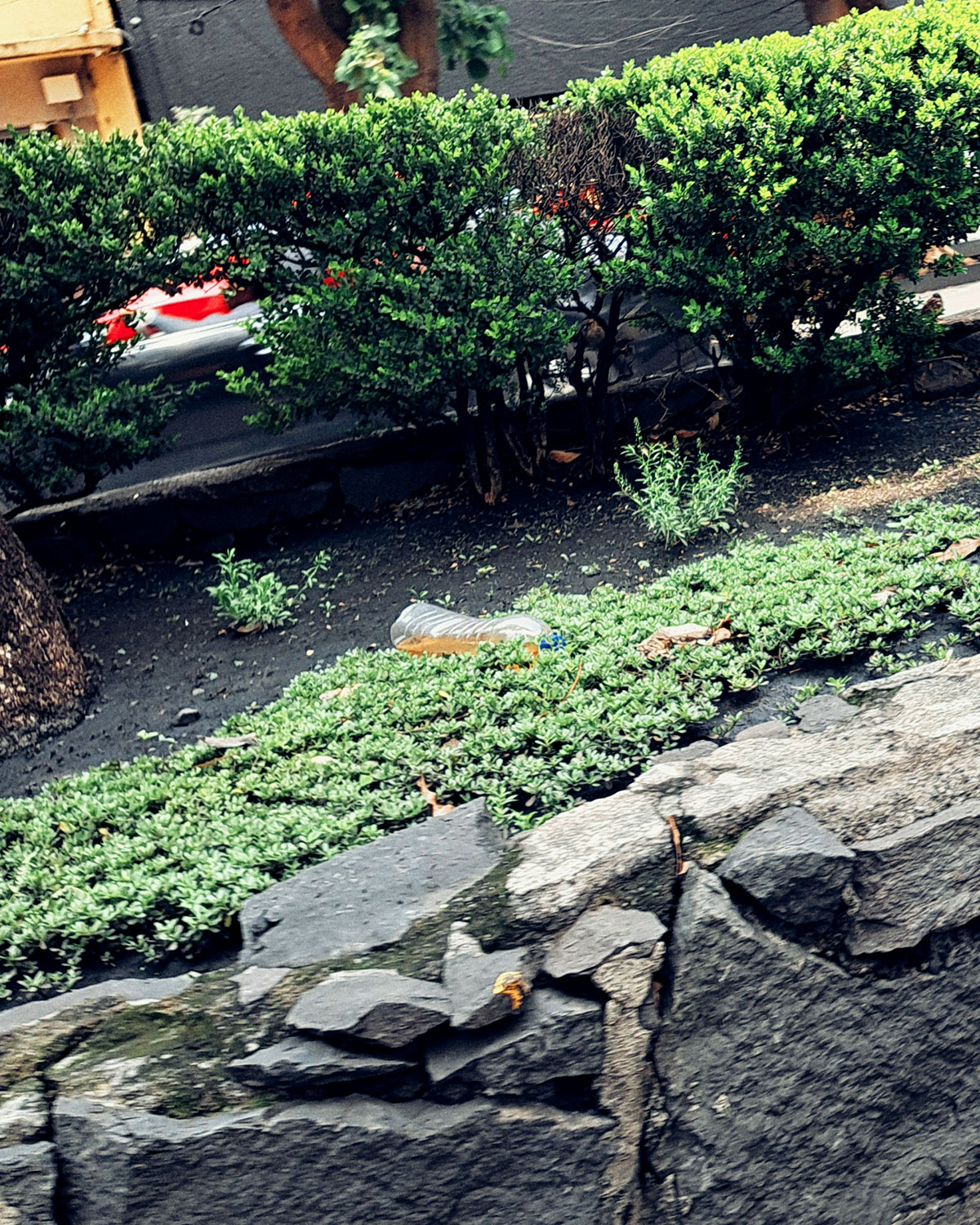 Pee bottles (Ananas)