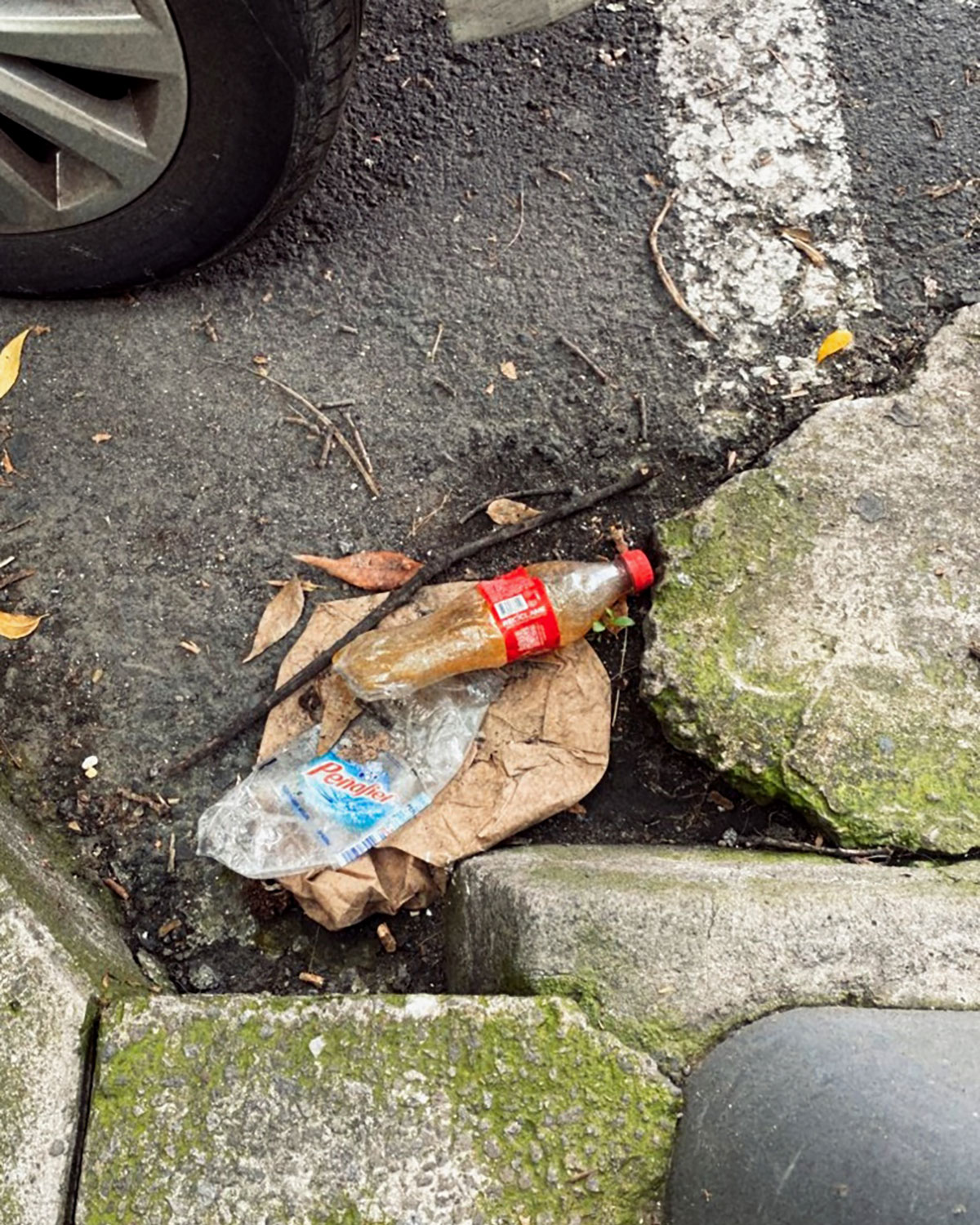 Pee bottles (Ananas)