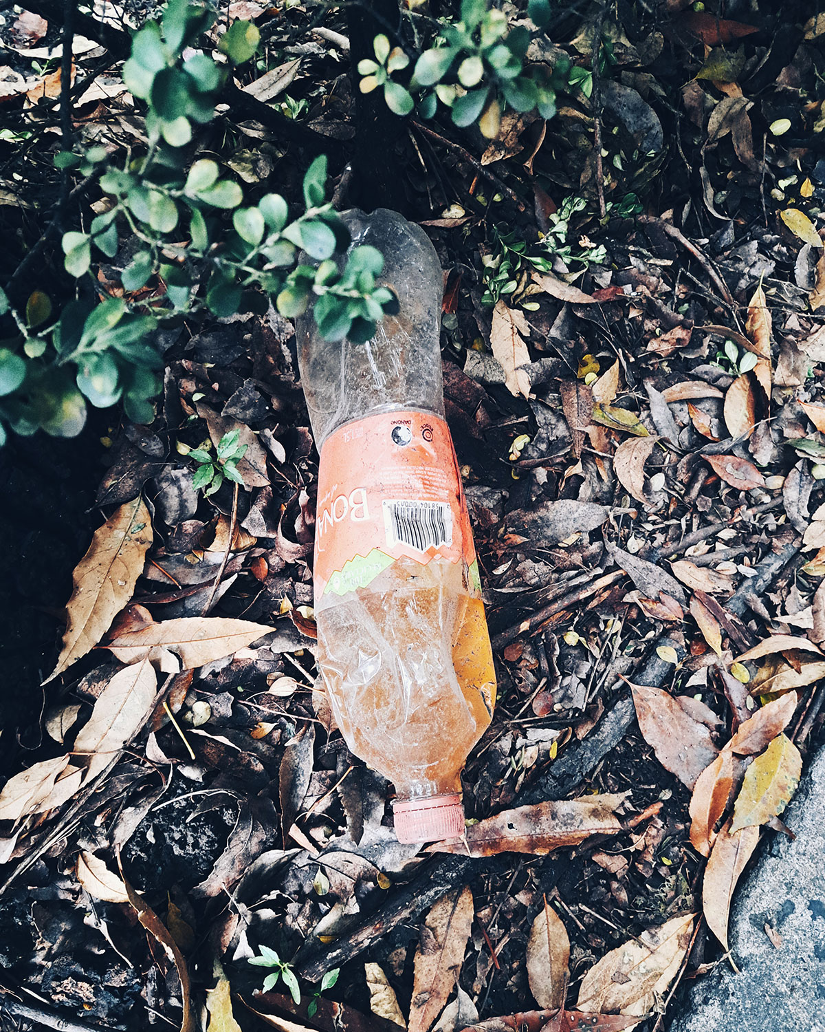 Pee bottles (Ananas)