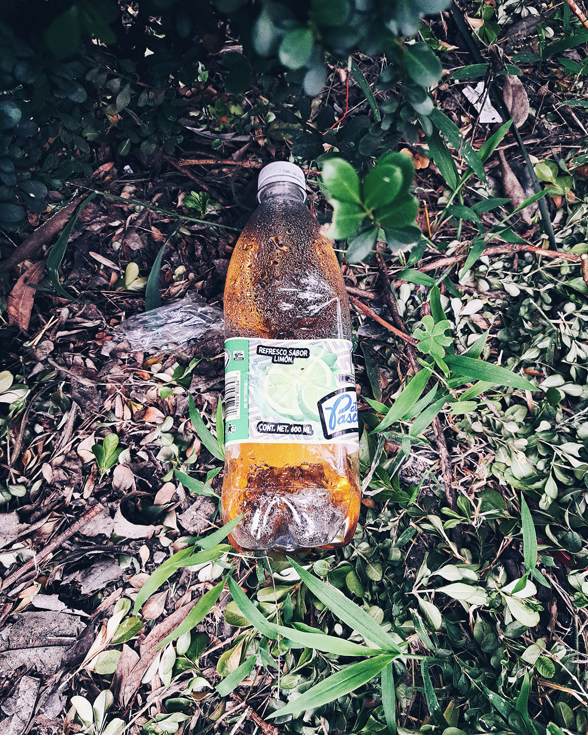 Pee bottles (Ananas)