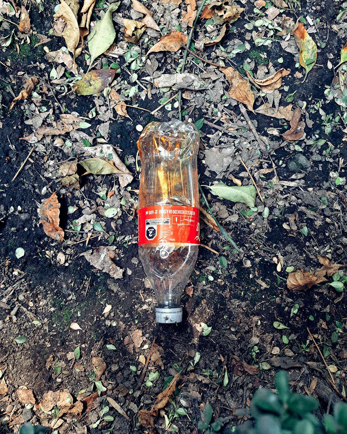 Pee bottles (Ananas)