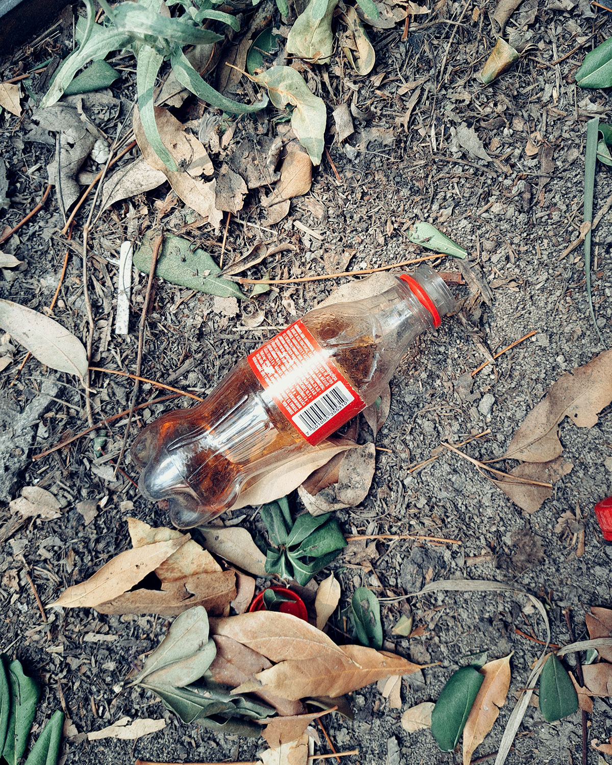 Pee bottles (Ananas)