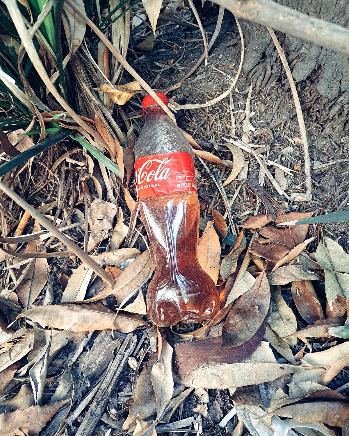 Pee bottles (Ananas)