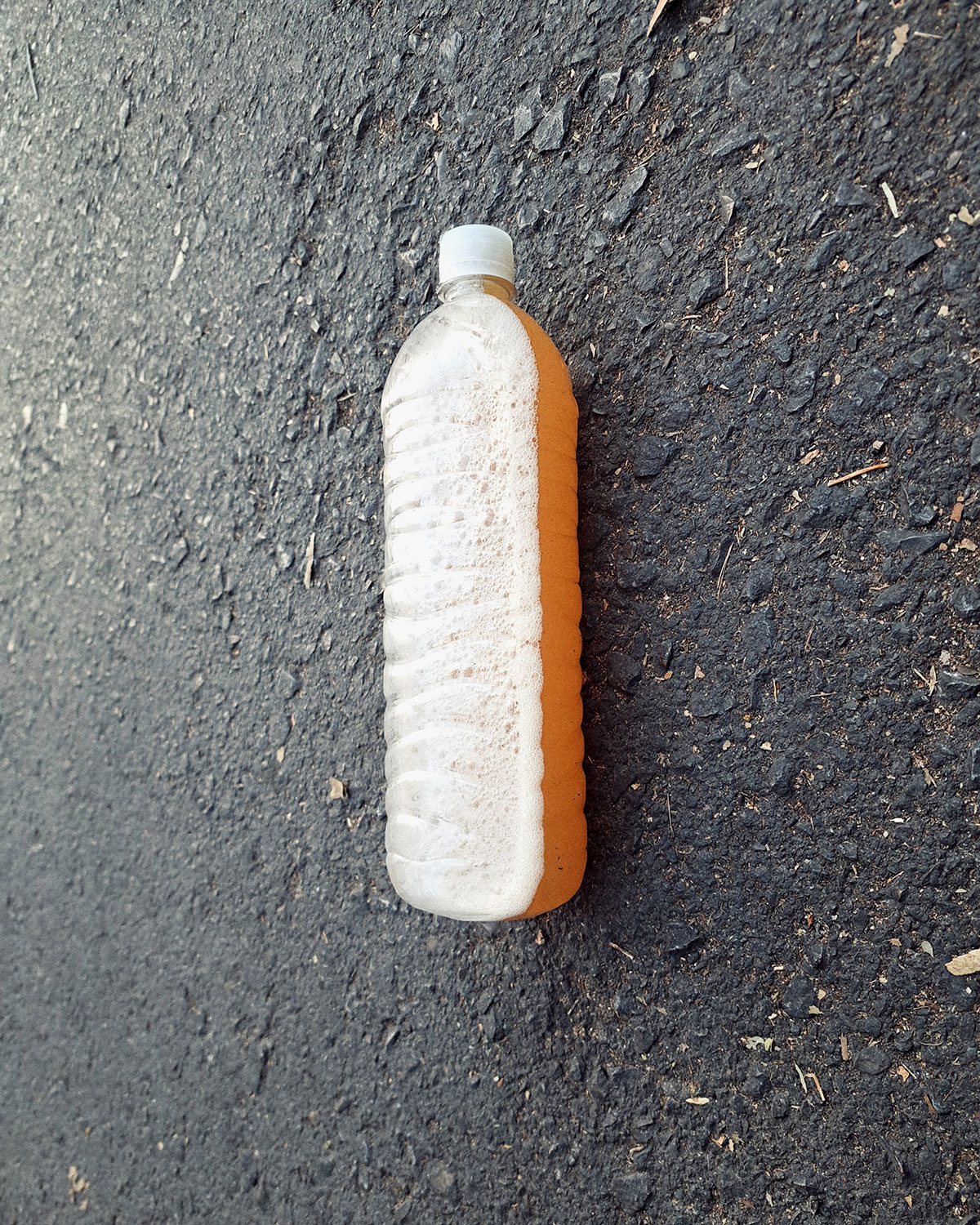 Pee bottles (Ananas)