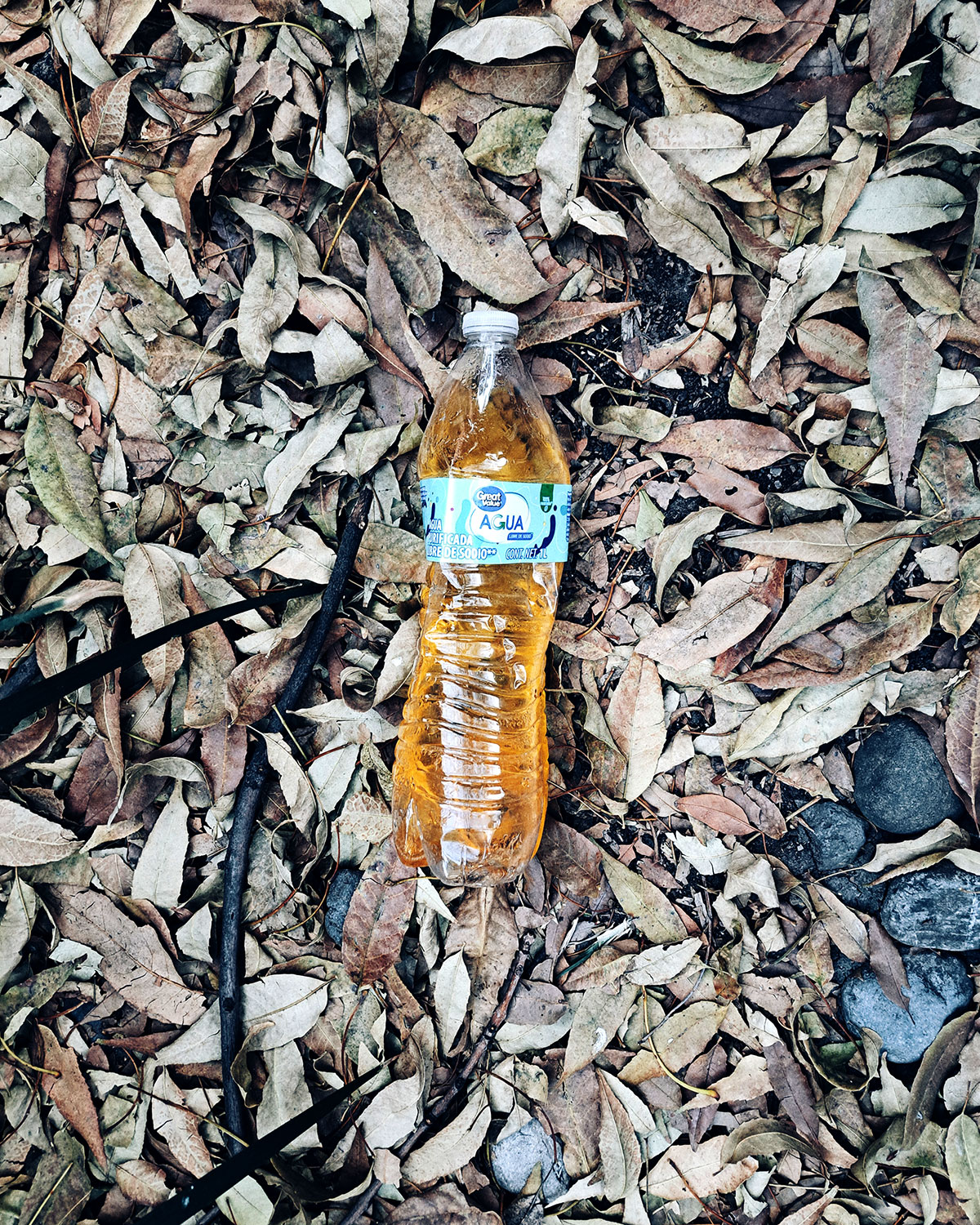 Pee bottles (Ananas)