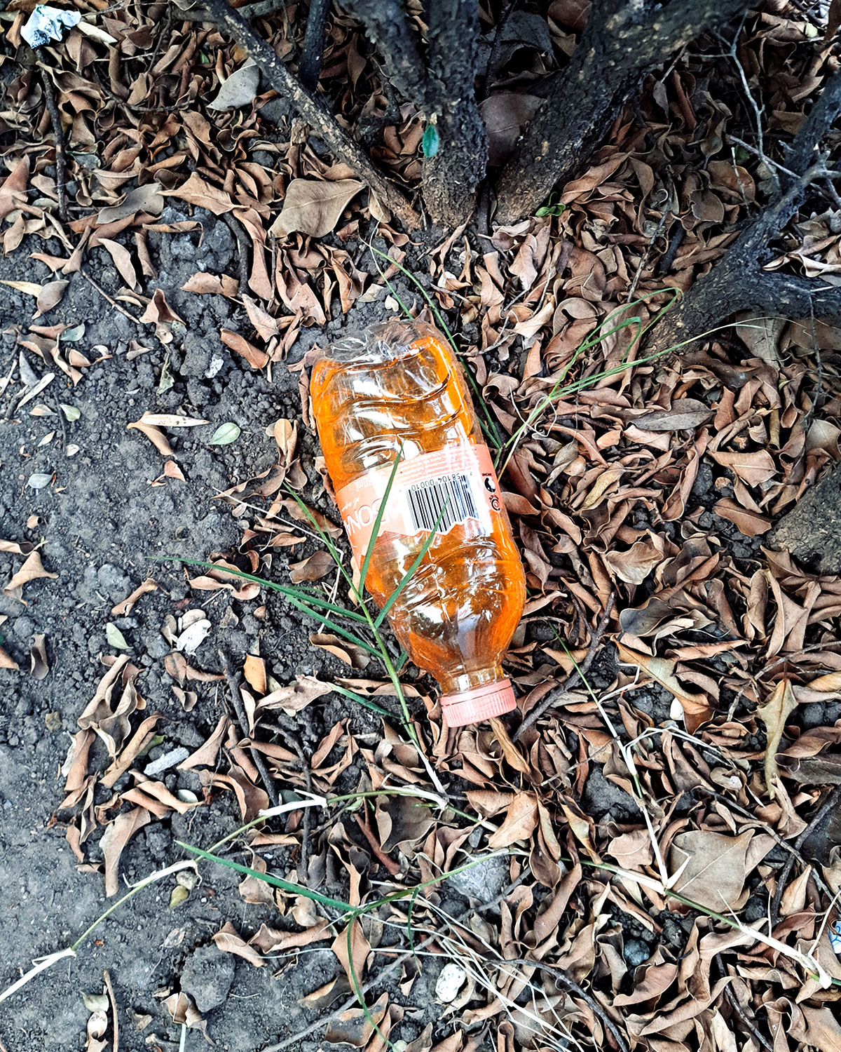 Pee bottles (Ananas)