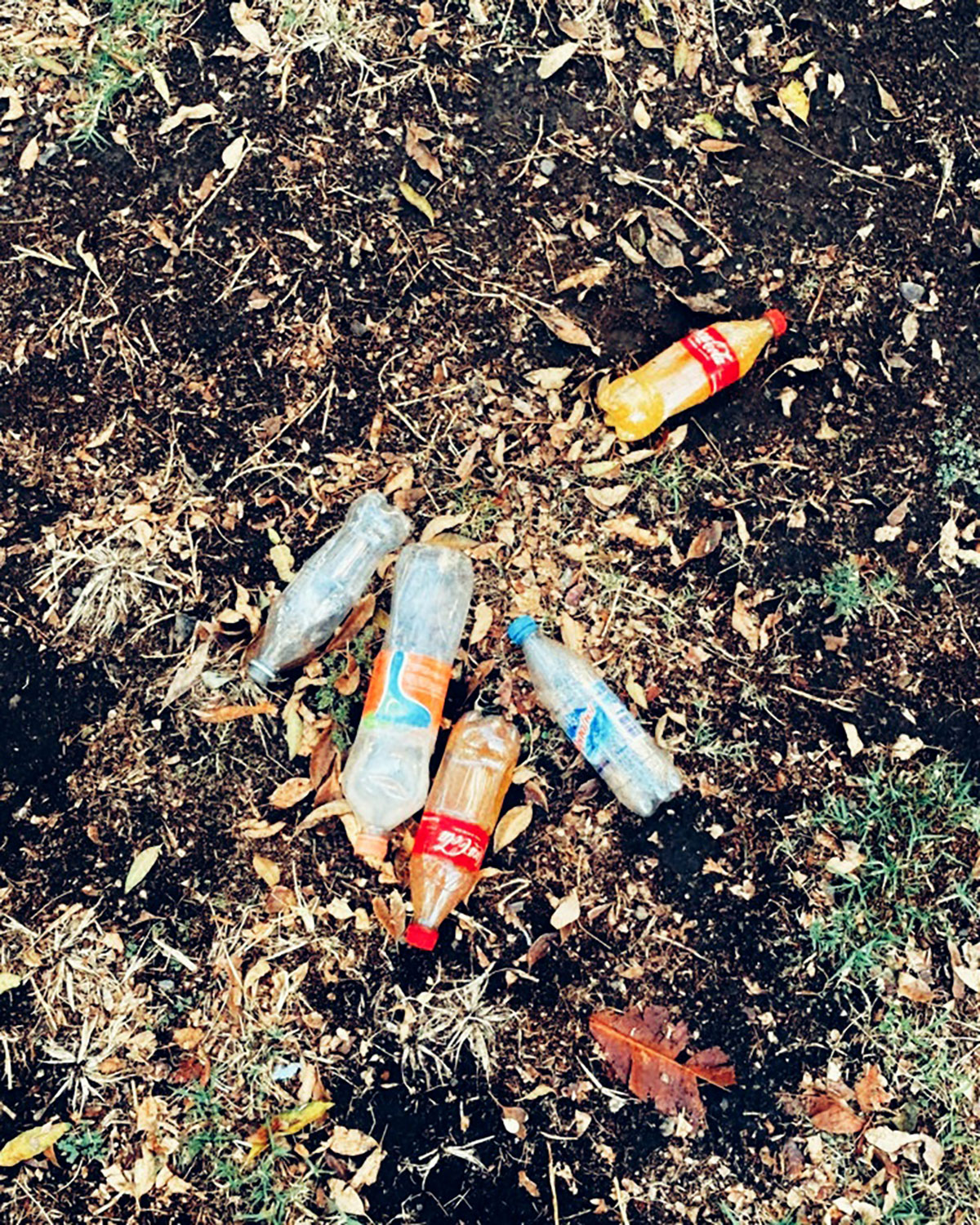 Pee bottles (Ananas)