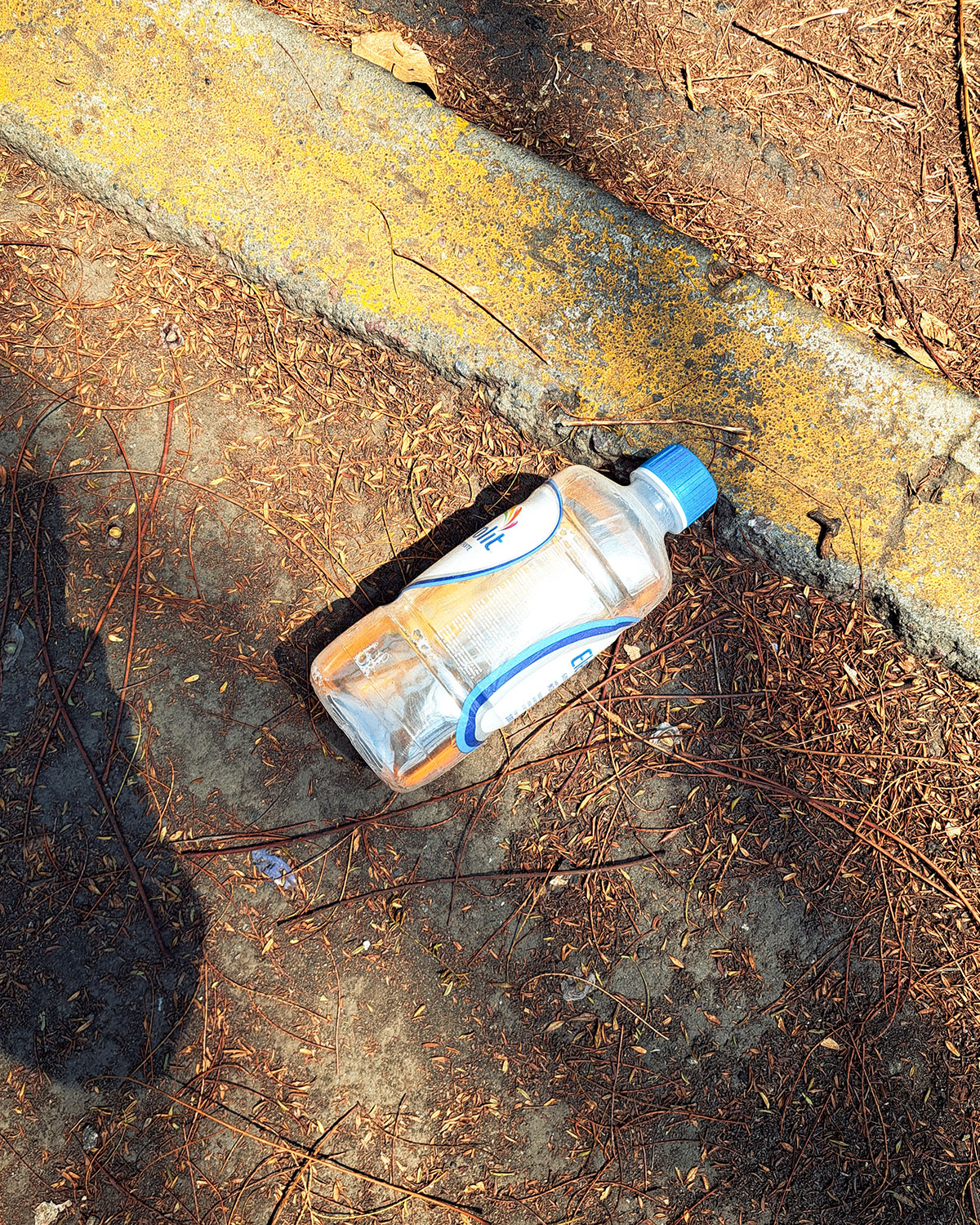 Pee bottles (Ananas)