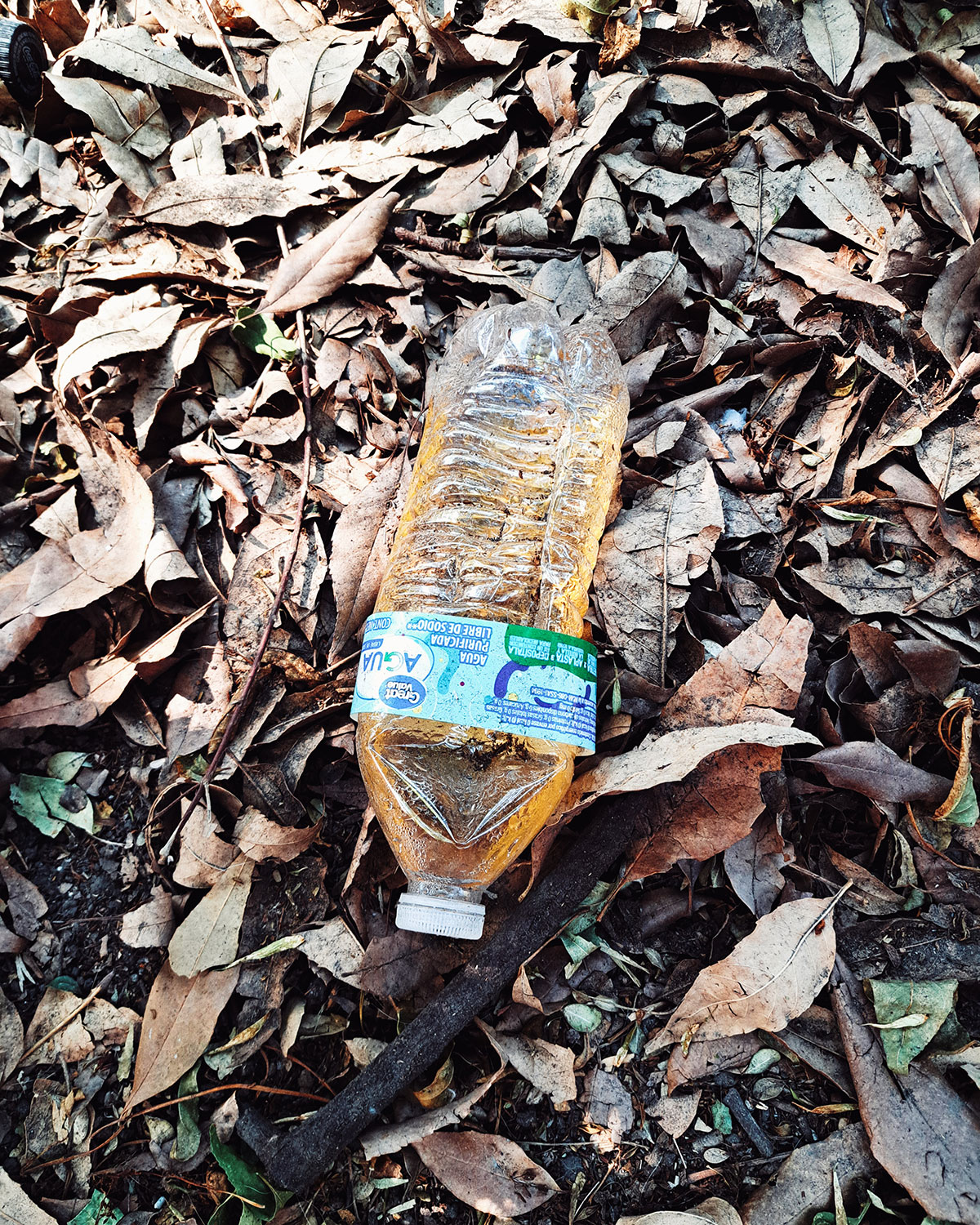Pee bottles (Ananas)