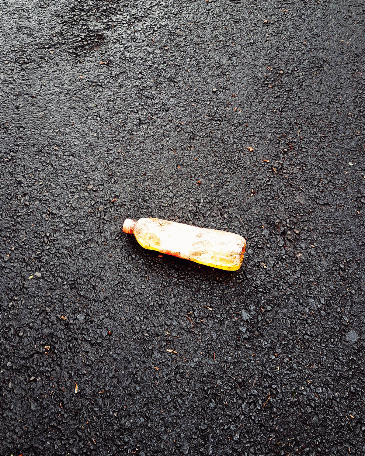 Pee bottles (Ananas)