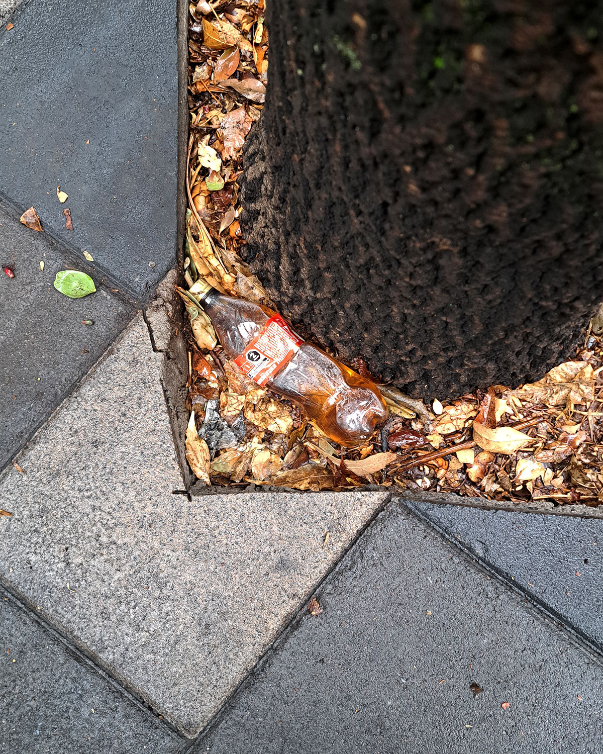 Pee bottles (Ananas)