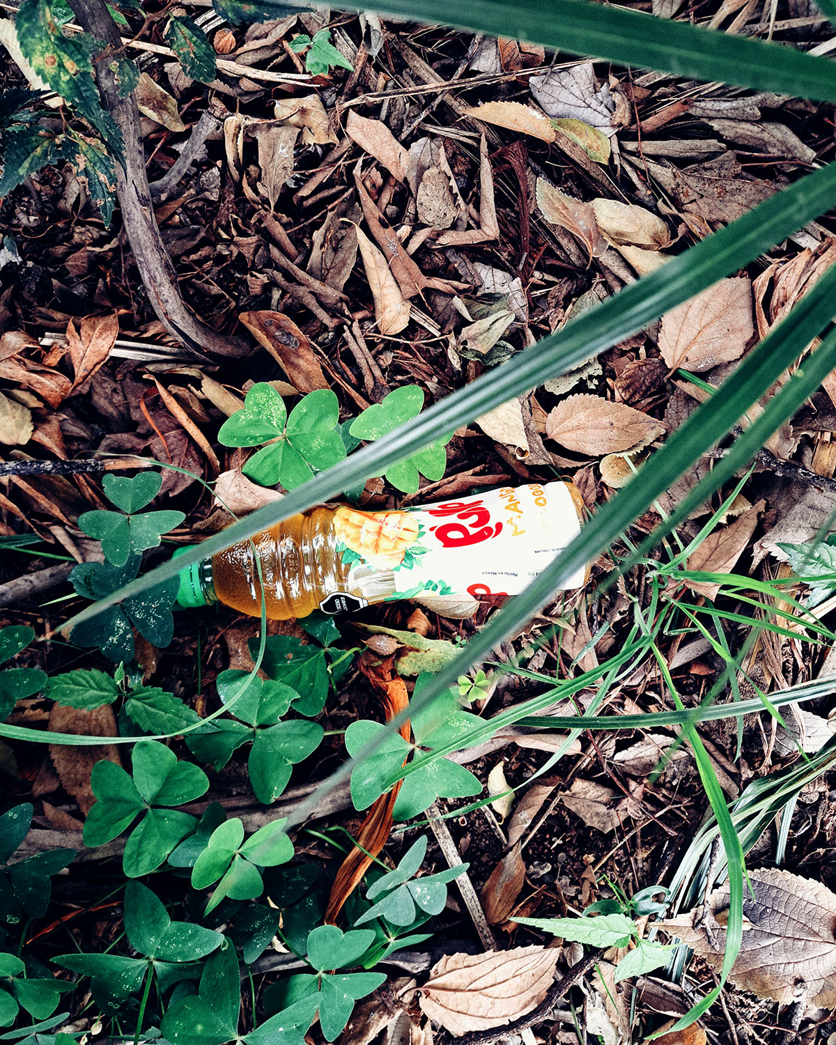 Pee bottles (Ananas)