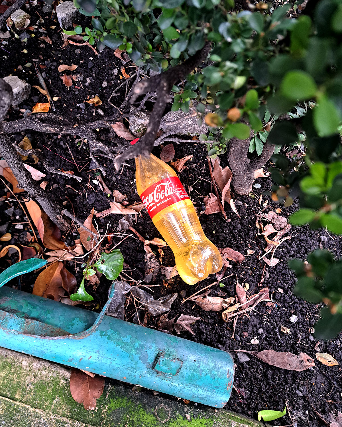 Pee bottles (Ananas)