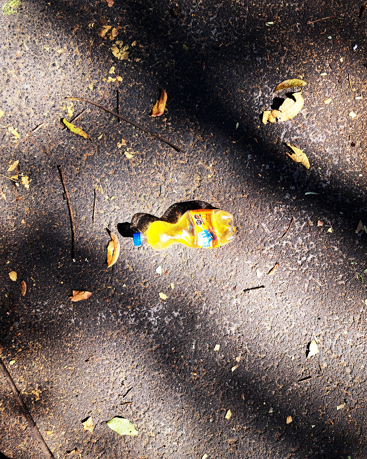 Pee bottles (Ananas)