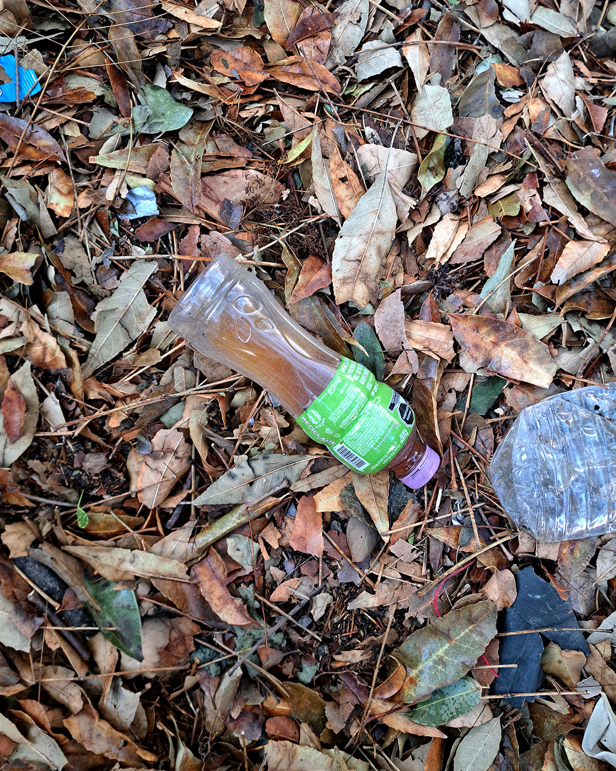 Pee bottles (Ananas)