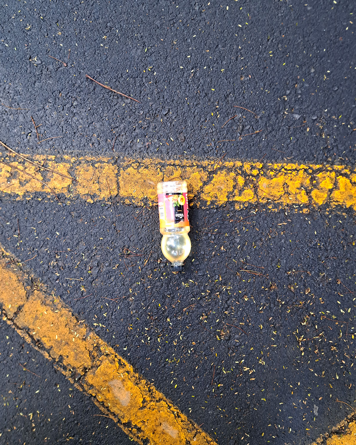 Pee bottles (Ananas)