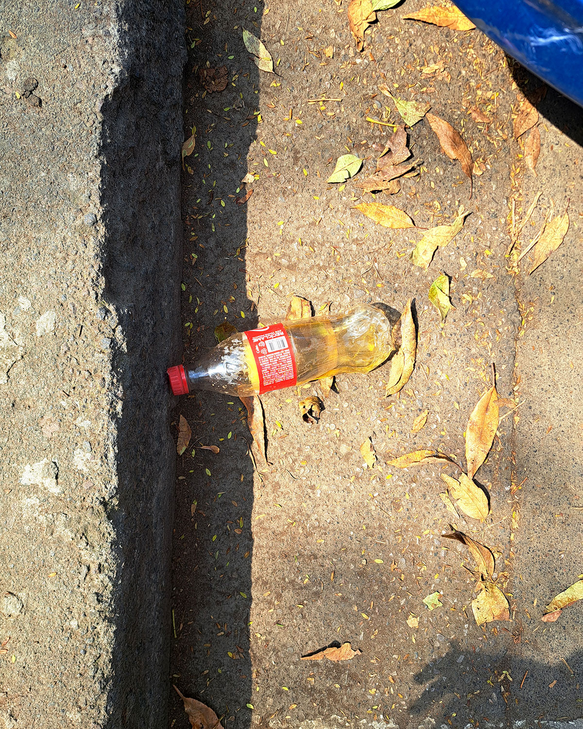 Pee bottles (Ananas)