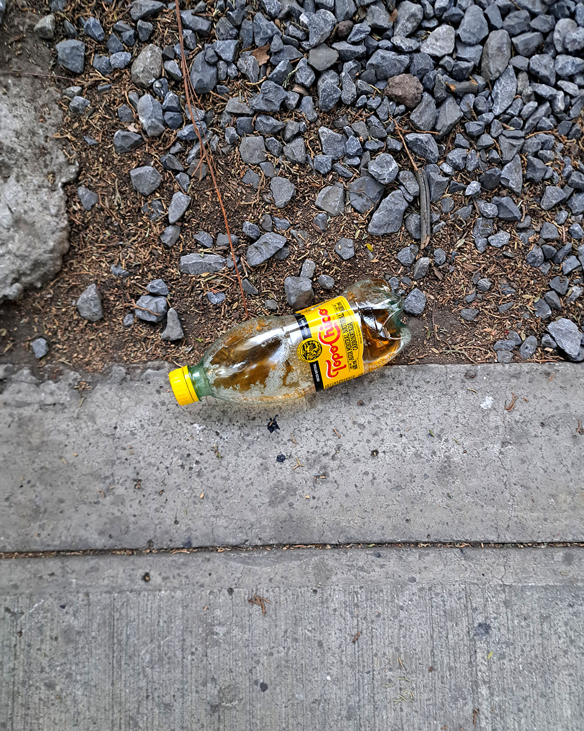 Pee bottles (Ananas)