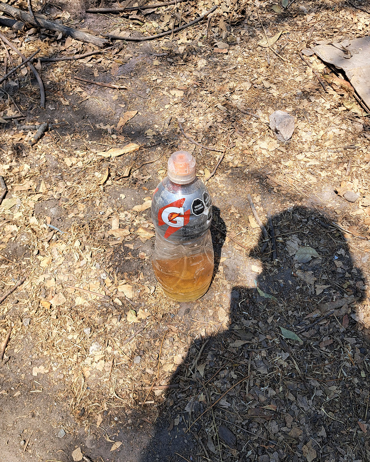 Pee bottles (Ananas)