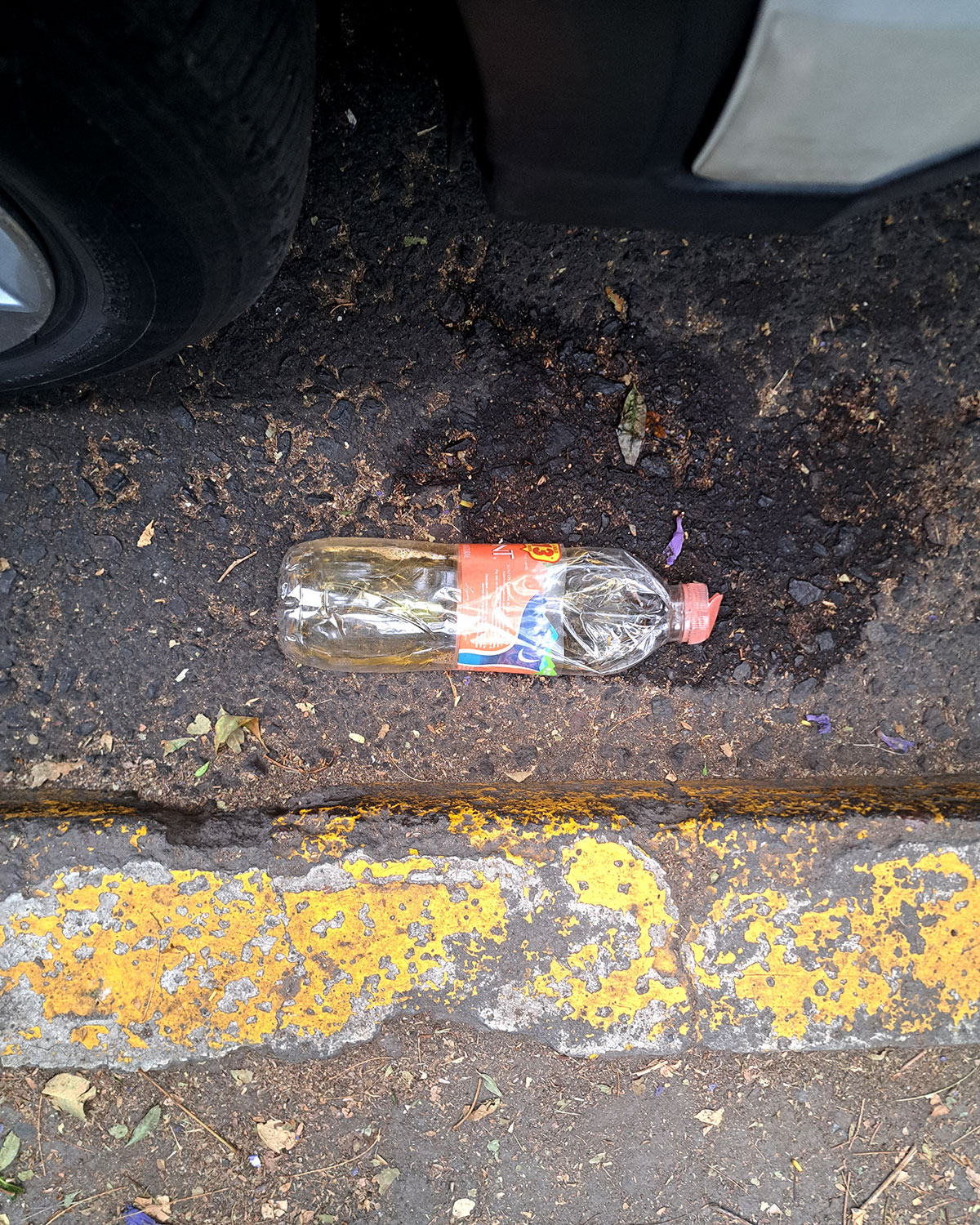 Pee bottles (Ananas)