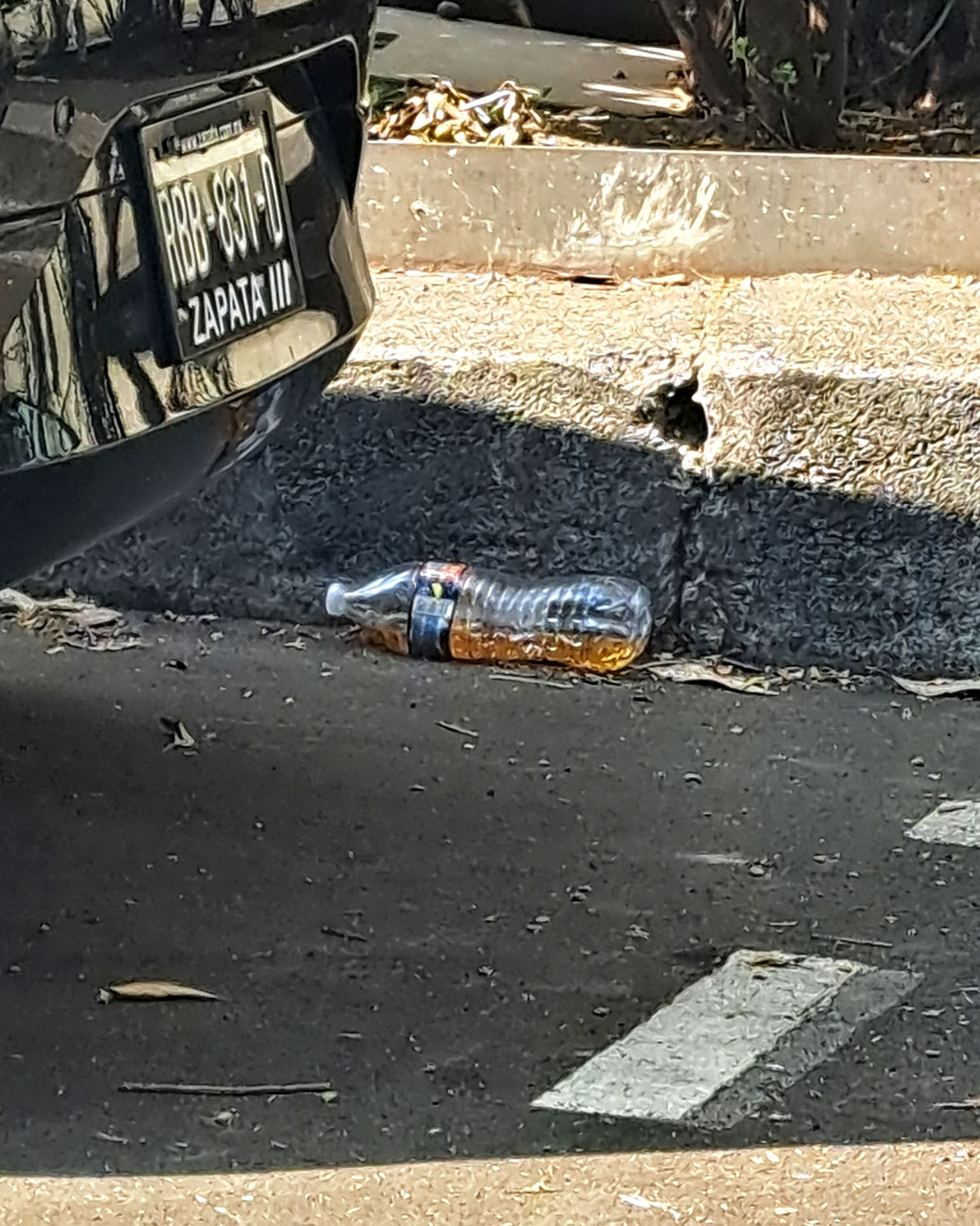 Pee bottles (Ananas)