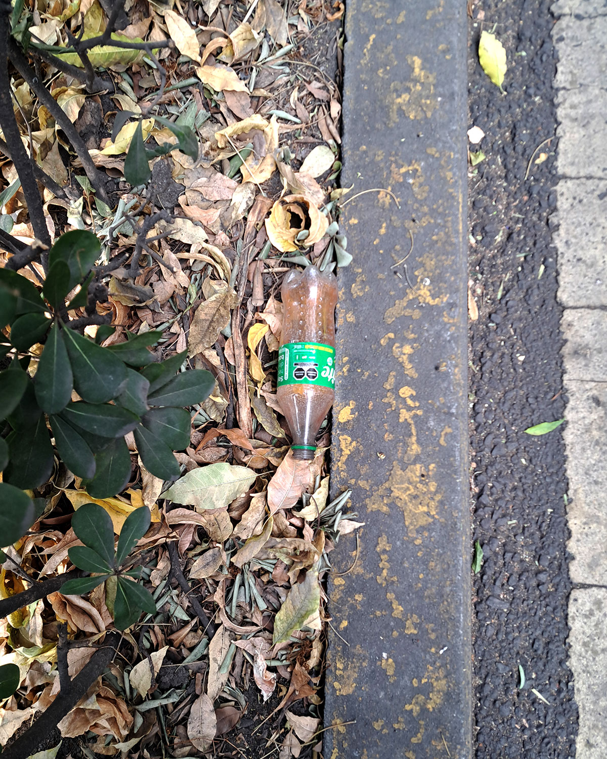 Pee bottles (Ananas)