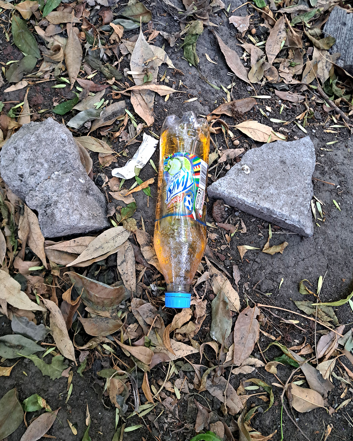 Pee bottles (Ananas)