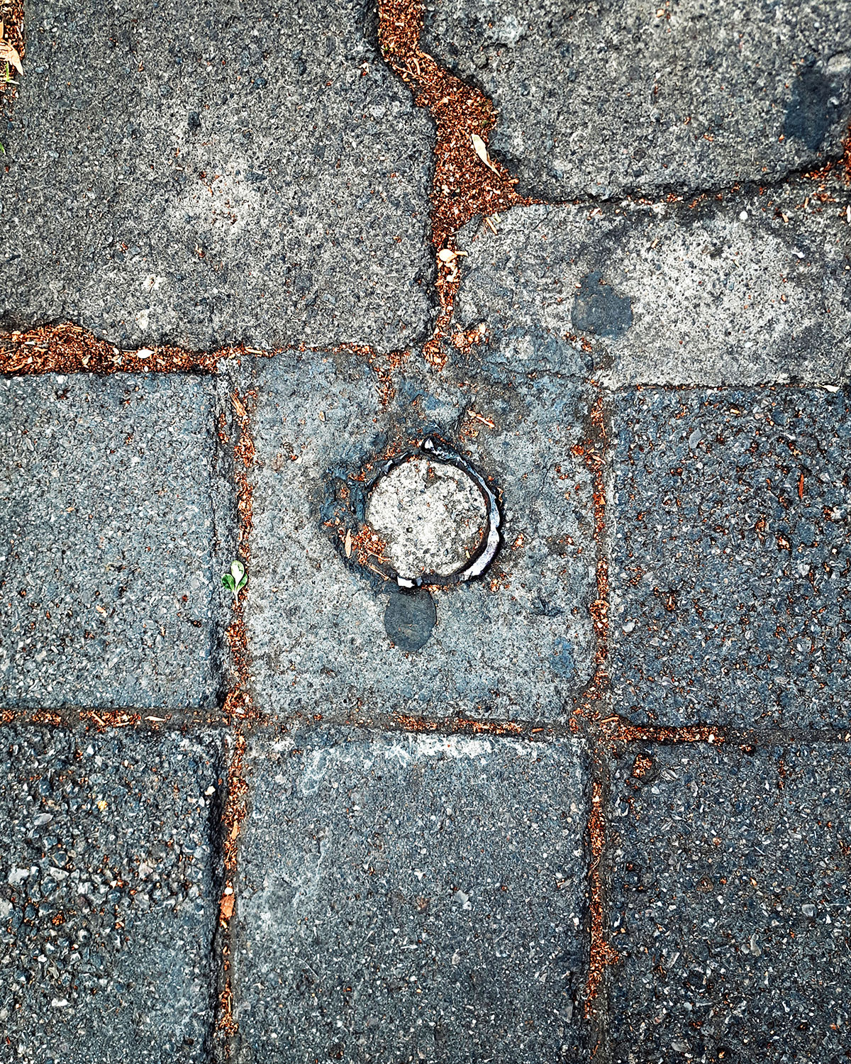 Cut pole / Accidental pot