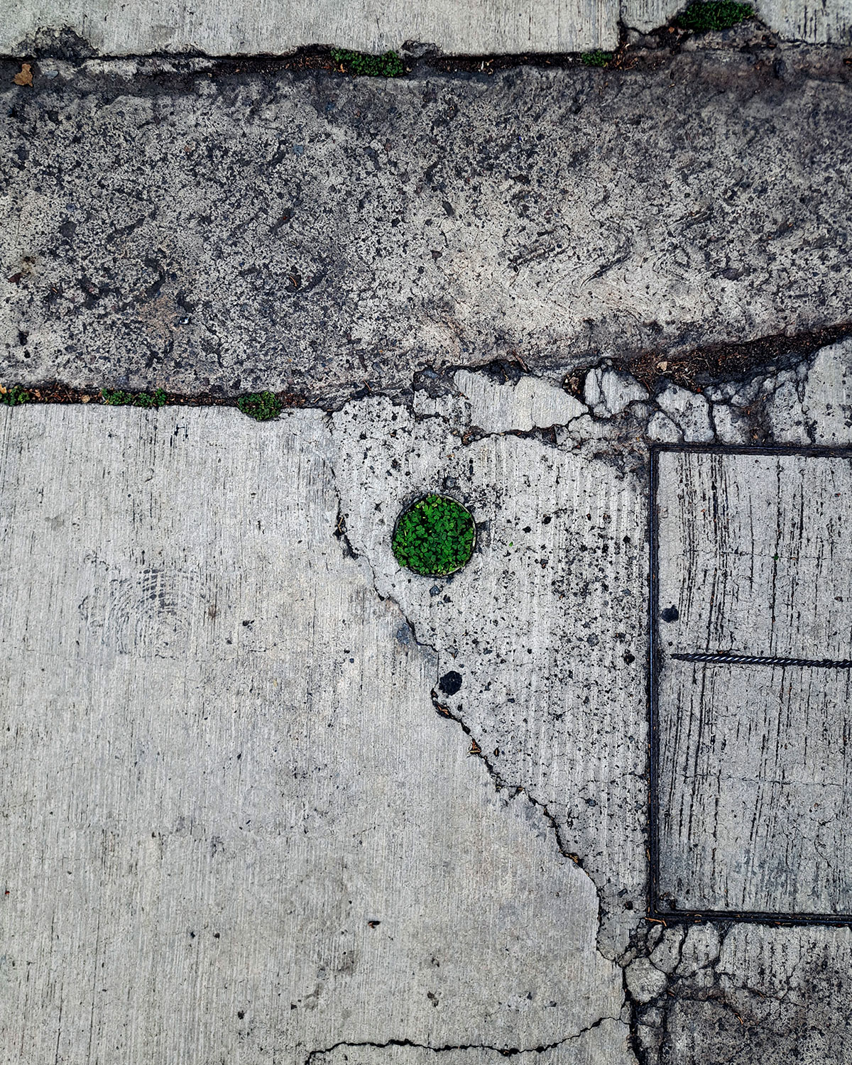 Cut pole / Accidental pot