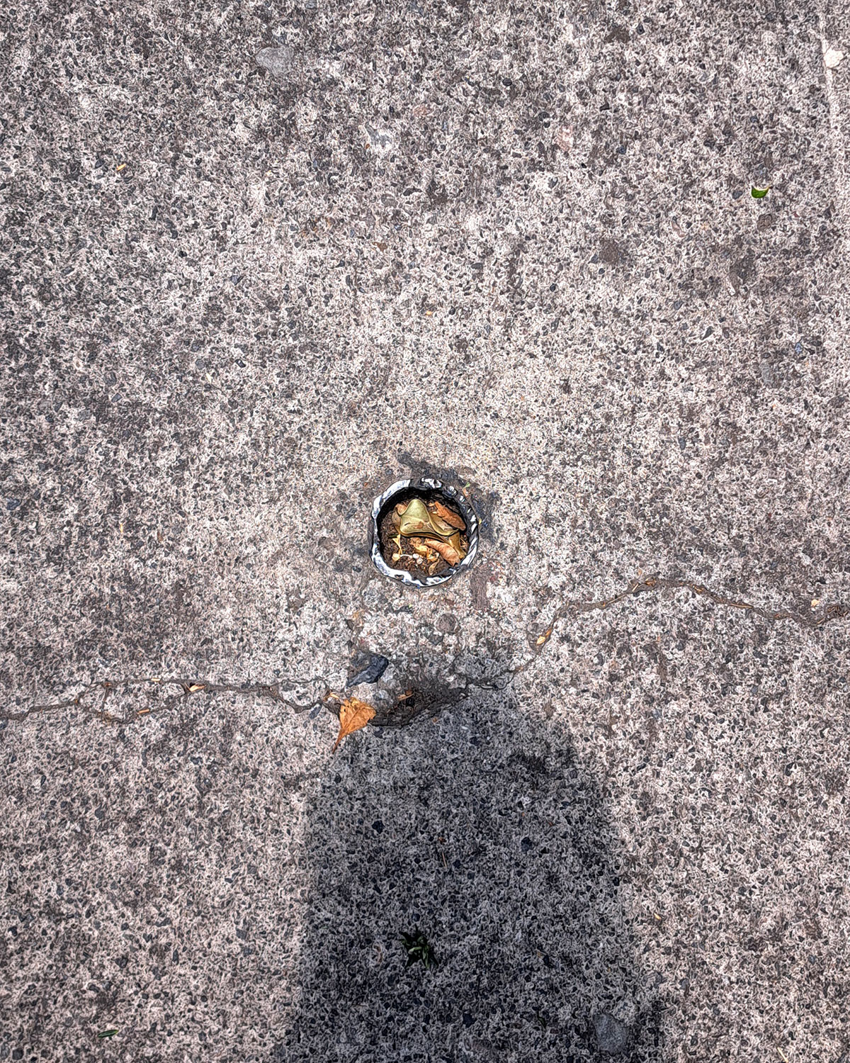 Cut pole / Accidental pot