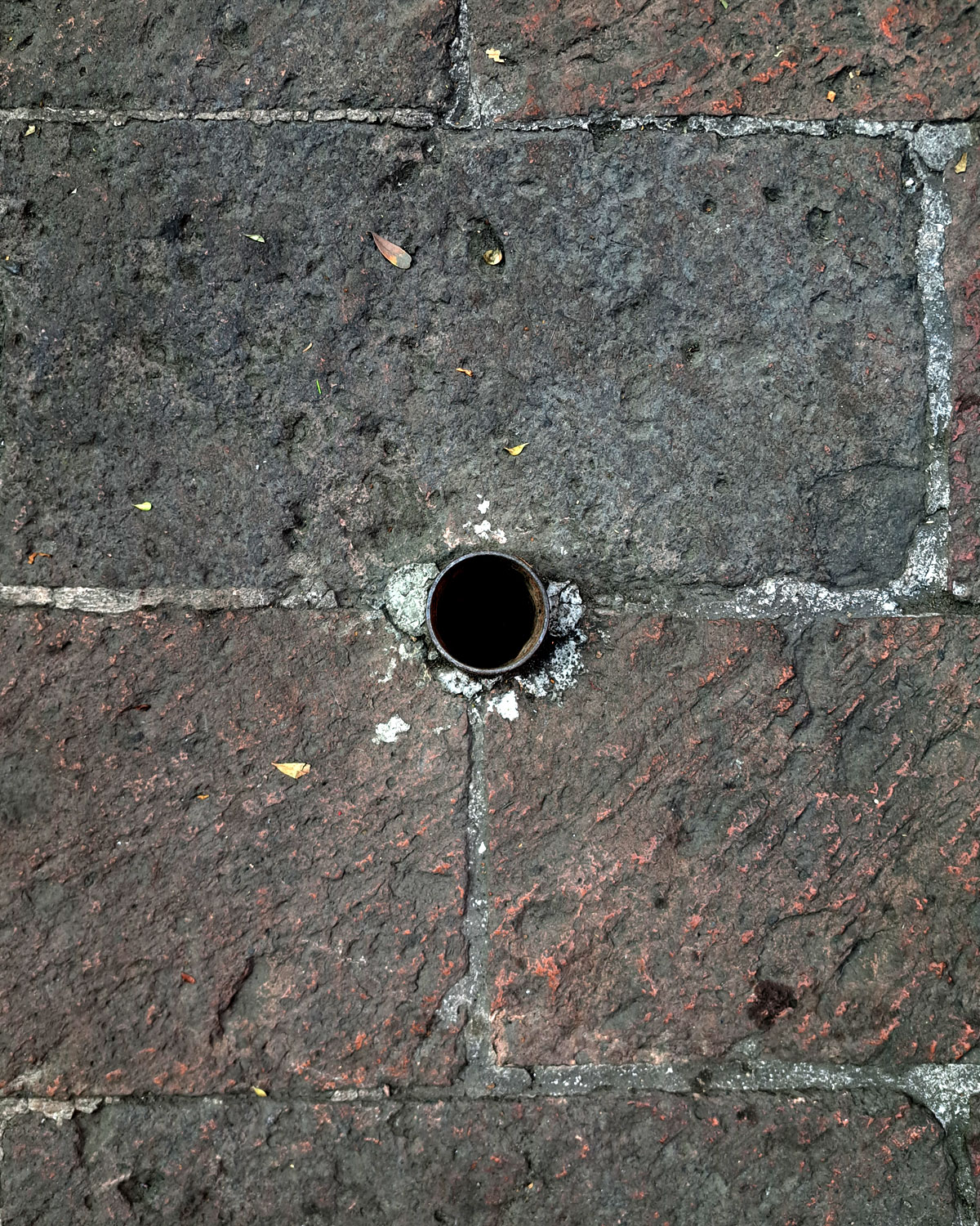 Cut pole / Accidental pot