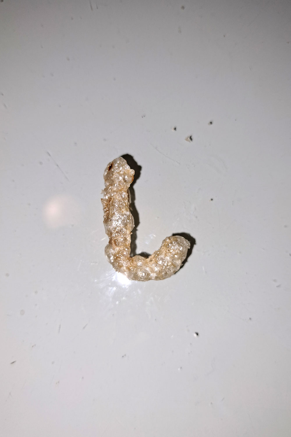 Fictional wednesday hooks photos