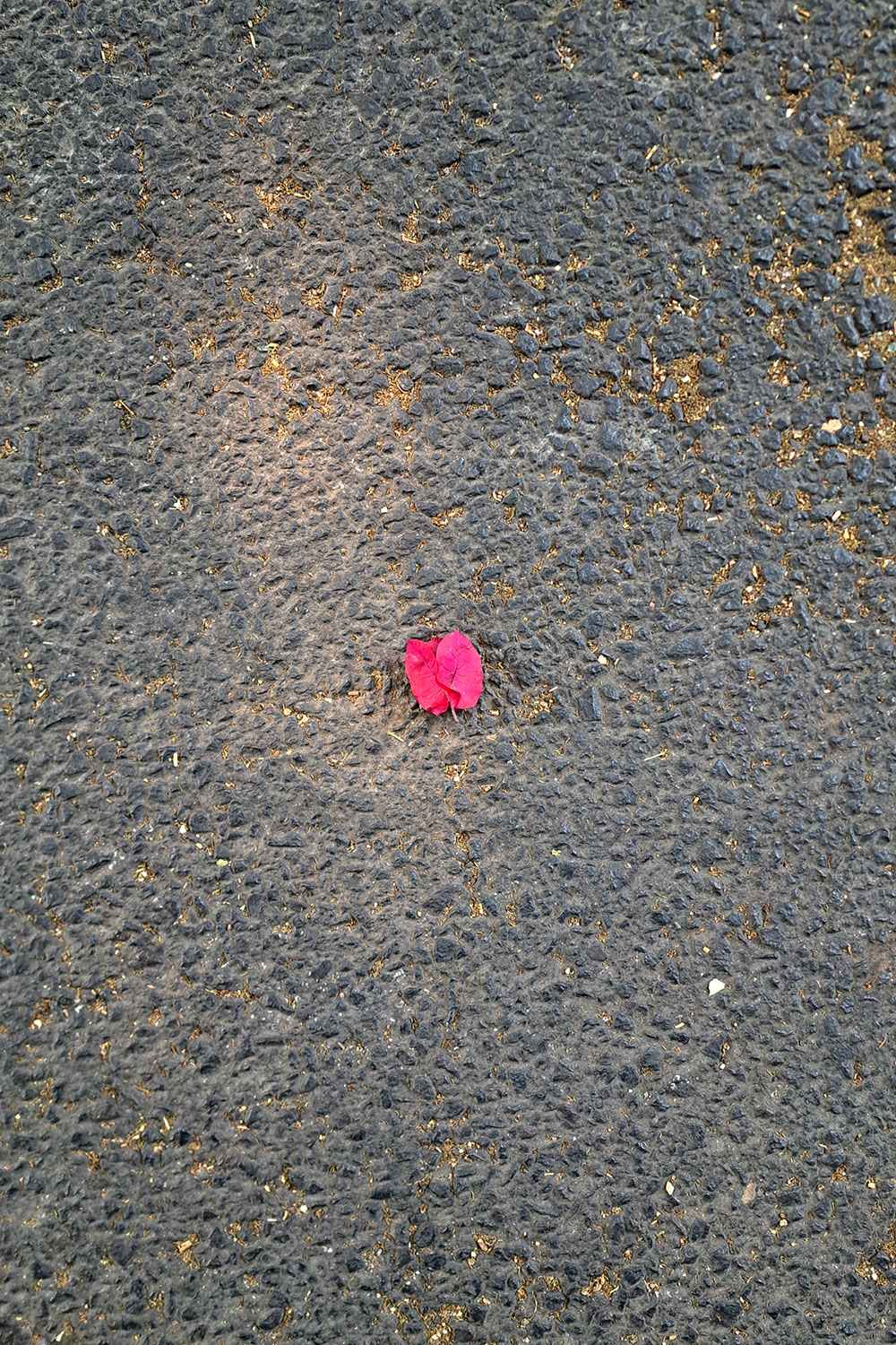Flower, litter