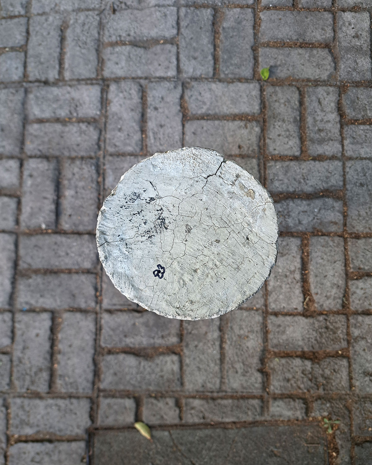 Flowertag Gardentags