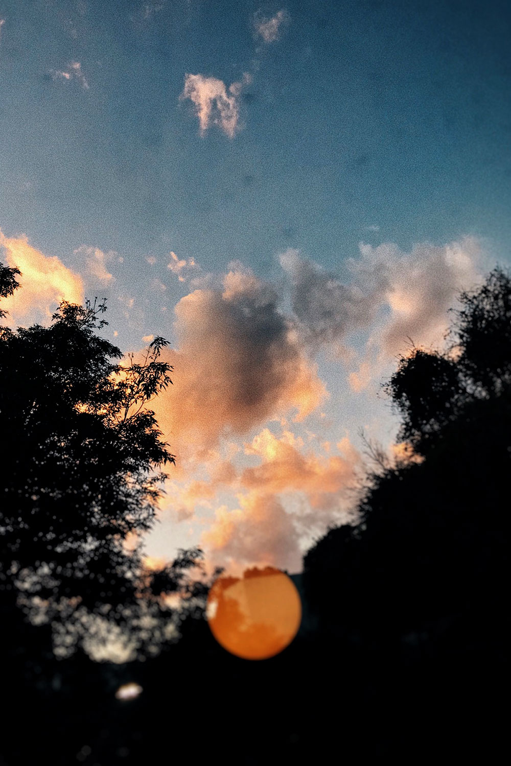 Lamp reflected (Banquet)