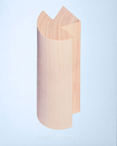 Shane Schneck: Objects in Dialog