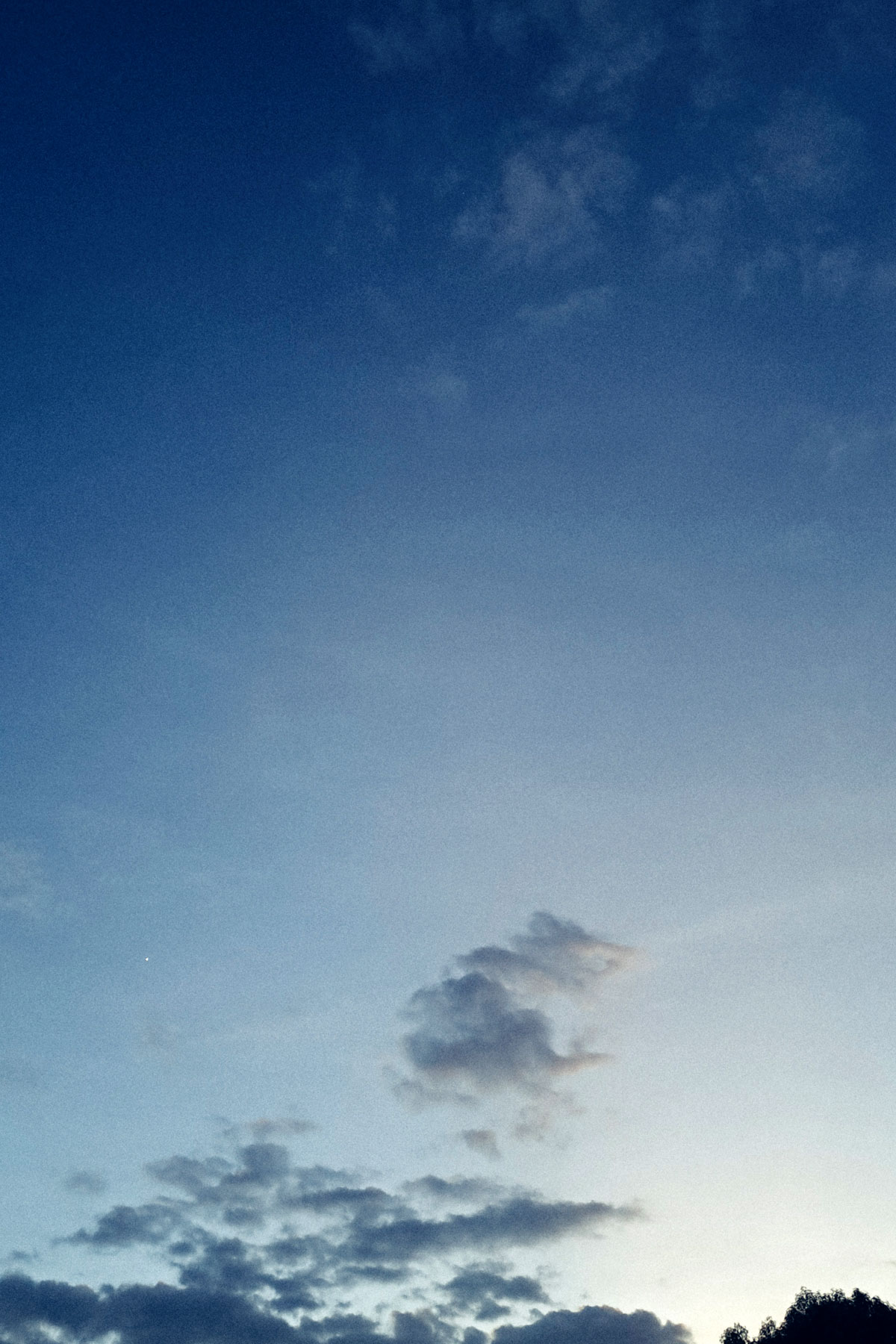 Skies, trees and clouds photos