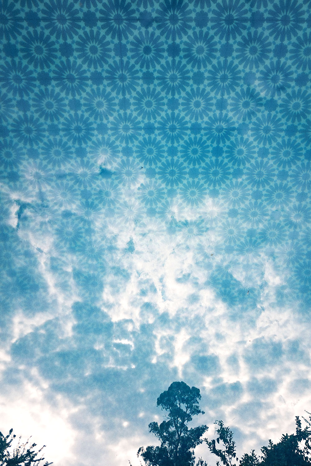 Skies, trees and clouds, reflected photos