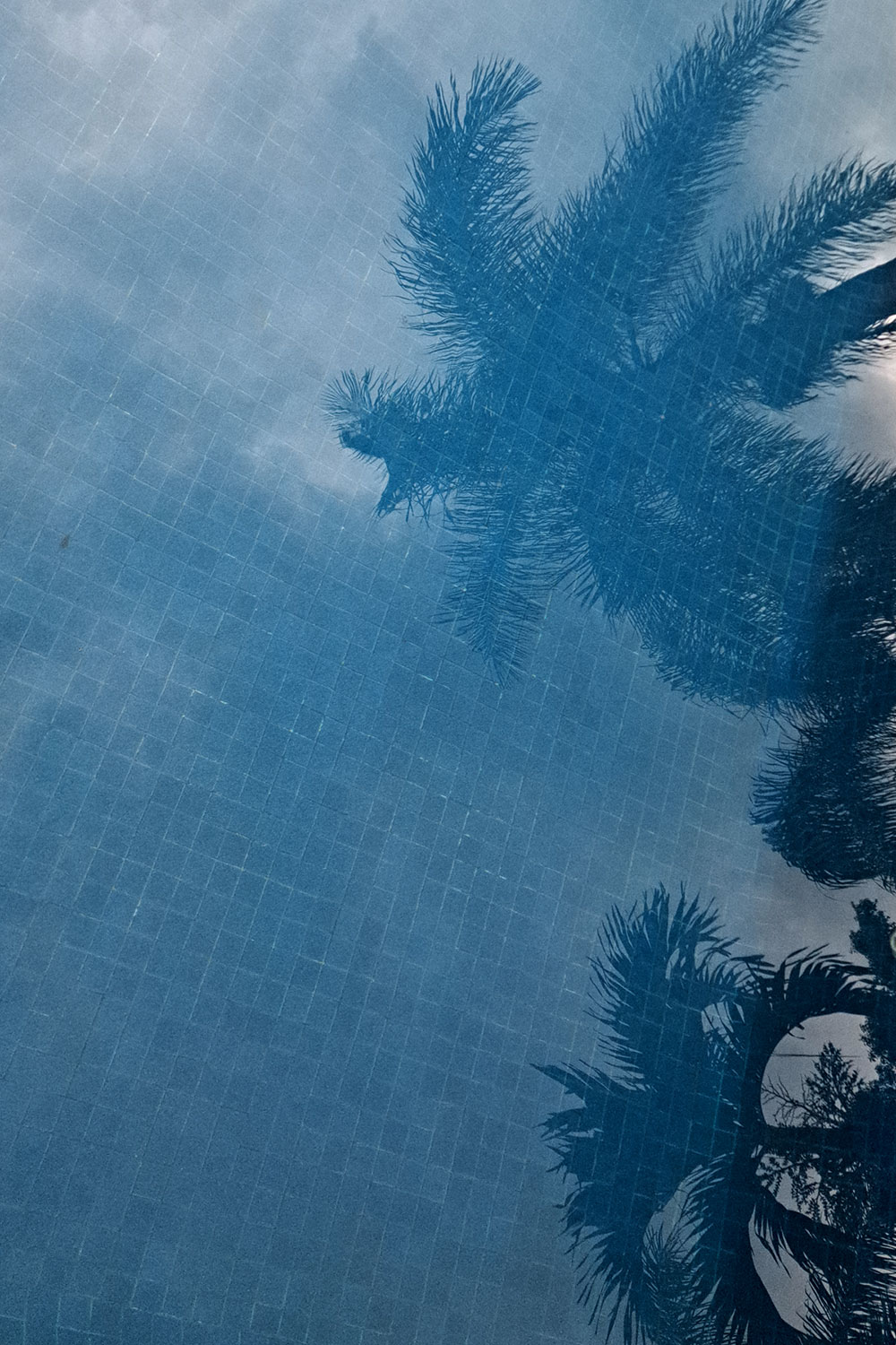 Skies, trees and clouds, reflected